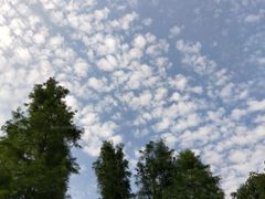 -艾溪湖湿地公园