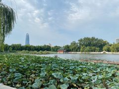 -济南大明湖景区