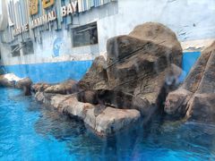 -海合安成都极地海洋公园