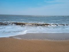 -日照海滨国家森林公园