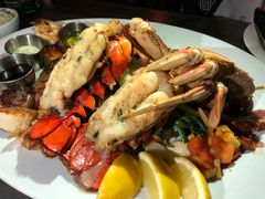 -Fish Hopper
