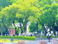 -浙江大学(玉泉校区)