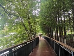-月湖风景区