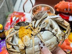 -黄记大闸蟹专卖店·活蟹·醉蟹