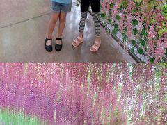 -济南方特东方神画