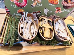 -季季山·云南野生菌火锅(上海首店)
