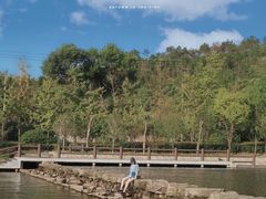 -黄陂区野村谷景区