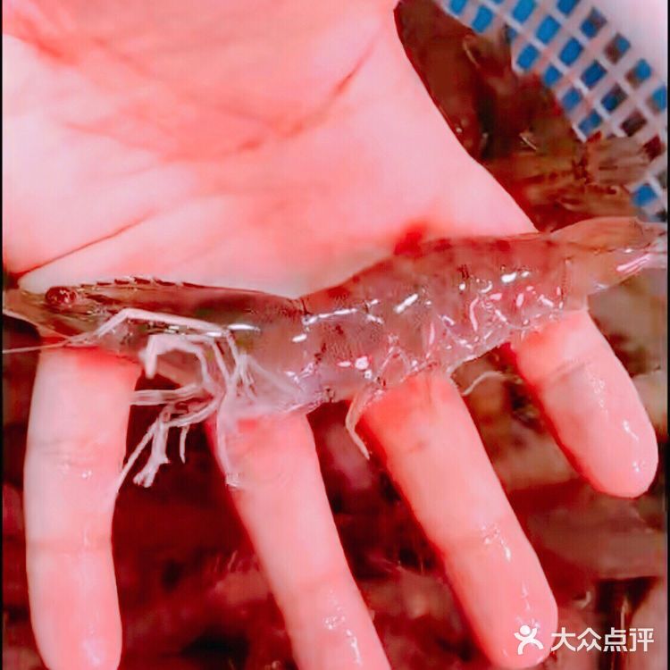 家里的保留菜系，决定了就是油焖大虾