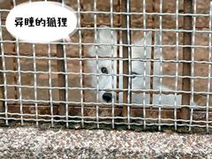 -昆明动物园