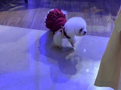 -小厨娘淮扬菜(六合欢乐港店)