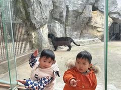 -南昌动物园
