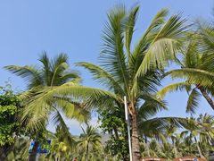 -三亚南山文化旅游区