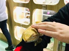 -藦茜花园宠物主题亲子互动体验馆(国顺东路店)
