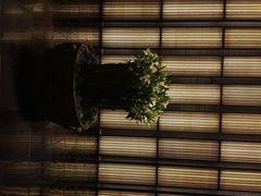 璞丽酒店-上海璞麗酒店