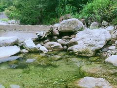 -秦岭风景区