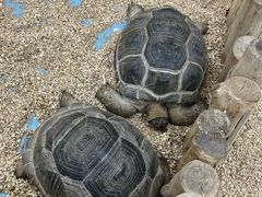 -齐齐哈尔龙沙动植物园