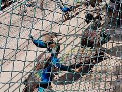 -宿豫区运河湾森林动物园