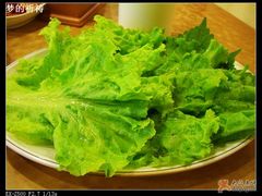 生菜叶子-香猪坊(五道口店)