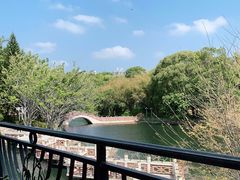 -深圳龙潭公园