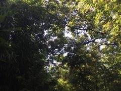 -菊花台公园