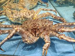 -渔傅·霞浦滩涂海鲜(建平店)