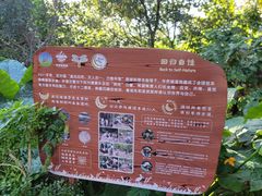 -华侨城湿地公园