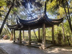 -灵岩山风景区