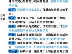 -日照海滨国家森林公园