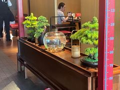 -300杯·和牛烧肉清酒专门店(廊里店)