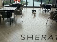 -食光全日制餐厅(绵阳首开喜来登酒店)