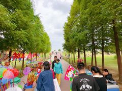 -滆湖低碳生态公园