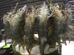 -渔傅·蓝海岸霞浦海鲜(正祥店)
