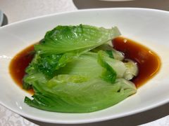 白灼生菜-维园悦谱·海派家常菜(乌鲁木齐南路店)