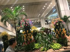 -樟宜机场免税店