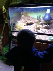 -酷嗒动物文化乐园(cutezoo西溪乐天城店)