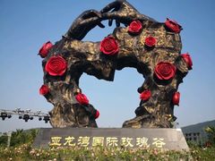 -亚龙湾国际玫瑰谷