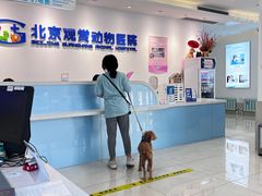 -北京观赏动物医院·24小时大型综合·猫专科·异宠专科