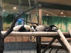 -西安秦岭野生动物园