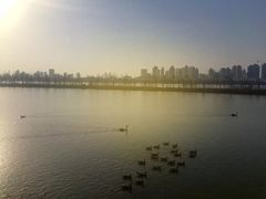 -艾溪湖湿地公园