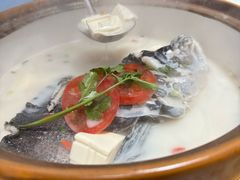 -全乐鱼馆·淳牌有机鱼直营店