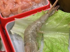 -大龙燚火锅(春熙店)