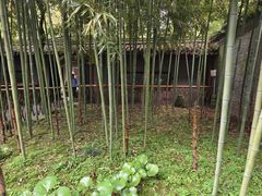 -天一阁博物院
