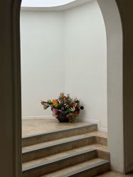 -WAVE SODA摄影工作室