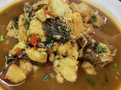 -全乐鱼馆·淳牌有机鱼直营店