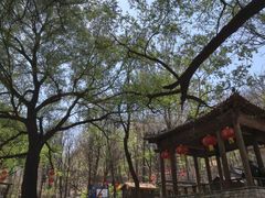 -井塘古村