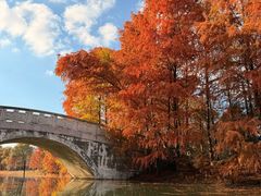 -上海海湾国家森林公园