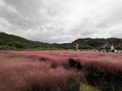 -蛇蟠岛