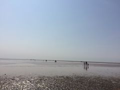 -南汇嘴观海公园