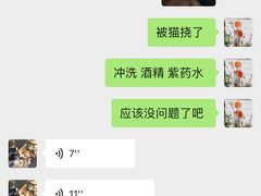 -宠爱国际动物医院· 猫科· 外科·中兽医(长白店)