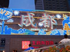 -王府井百货(总府店)